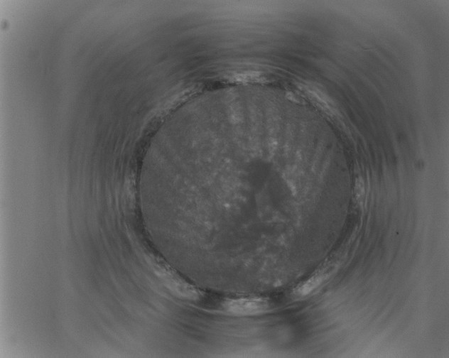 X0000066540461200603311849