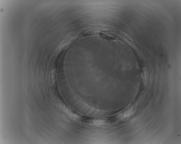 X0000066540462200603311849