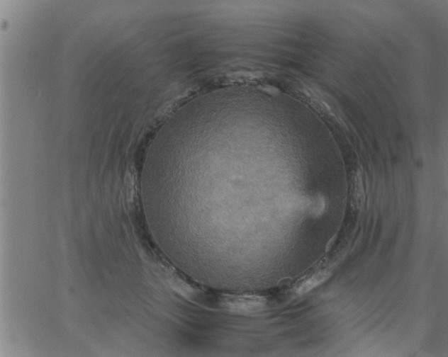 X0000066540463200603311849