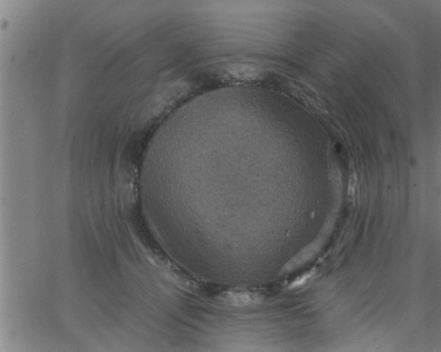 X0000066540464200603311849