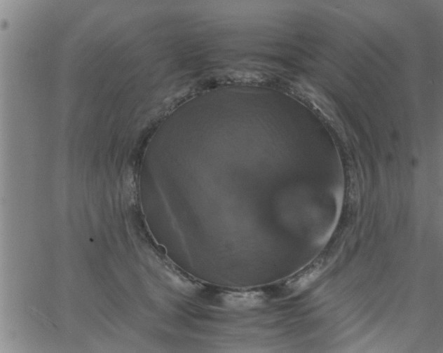 X0000066540465200603311849