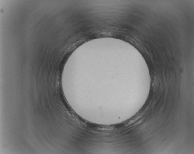 X0000066540466200603311849