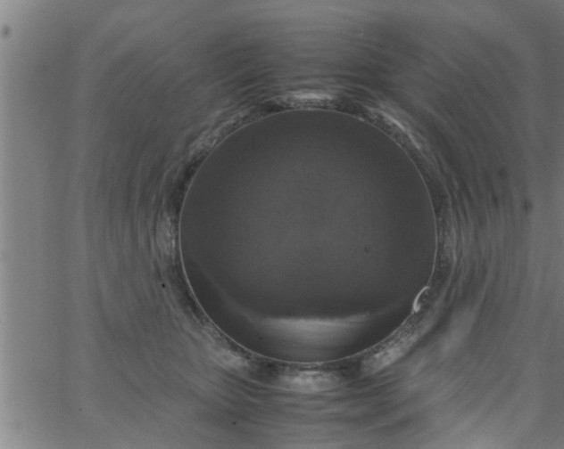 X0000066540467200603311849