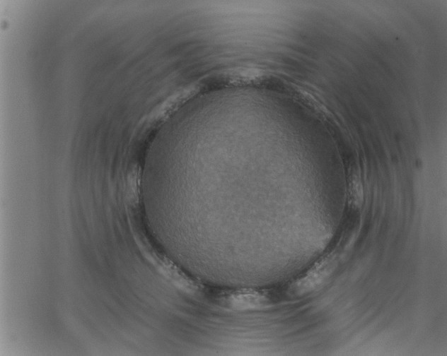 X0000066540468200603311849