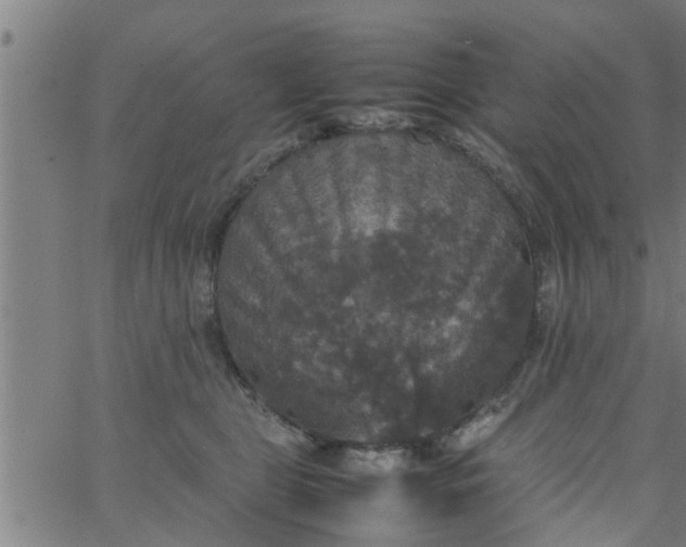 X0000066540469200603311849