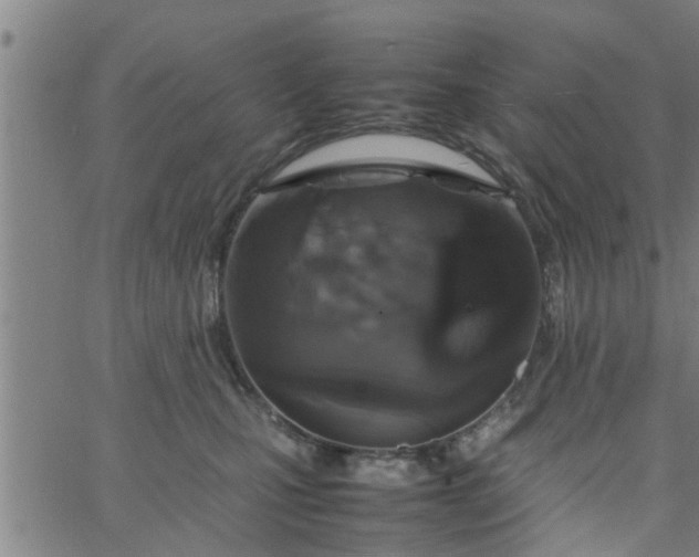 X0000066540471200603311849