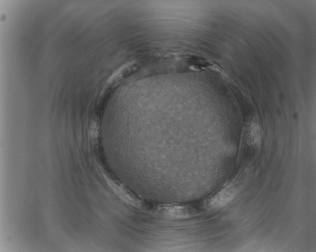 X0000066540472200603311849