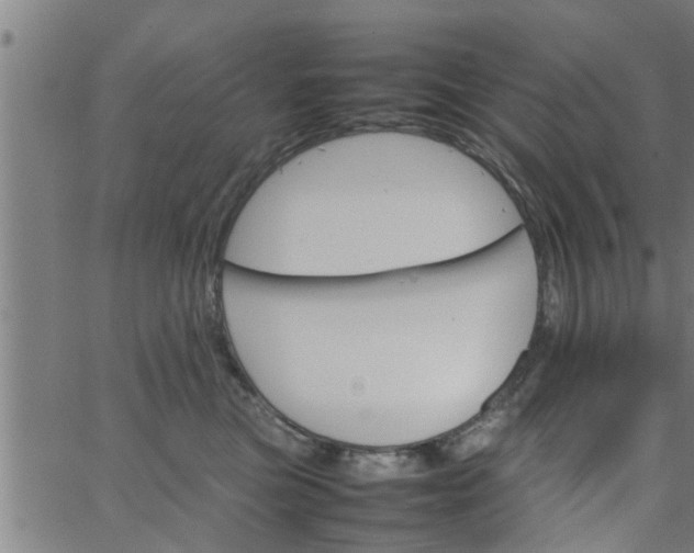 X0000066540473200603311849