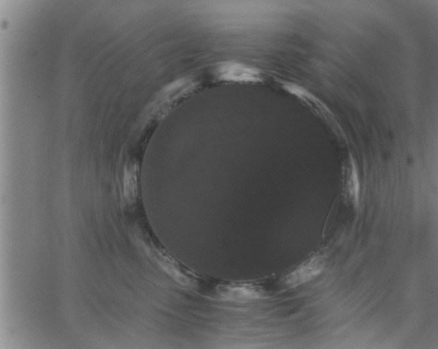 X0000066540475200603311849