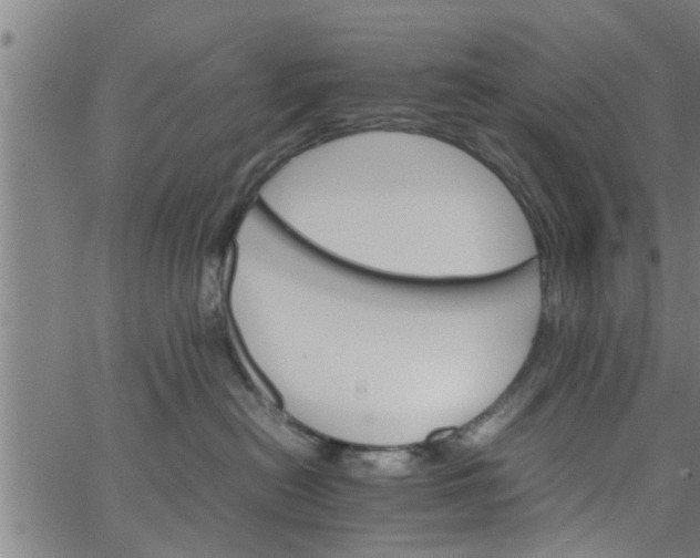 X0000066540478200603311849