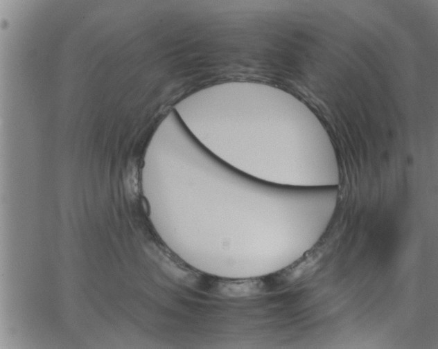 X0000066540479200603311849