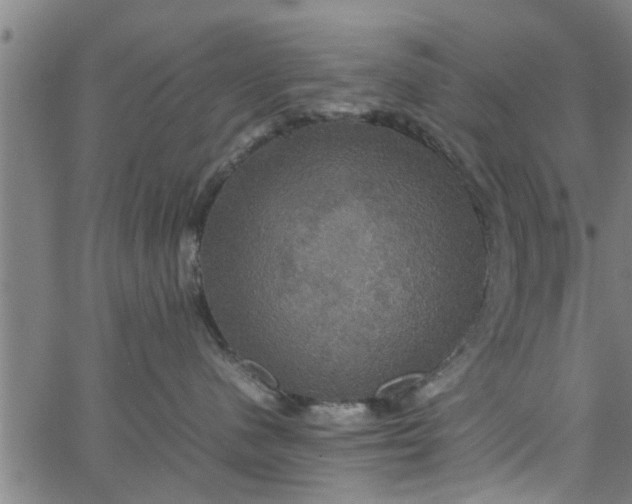 X0000066540480200603311849