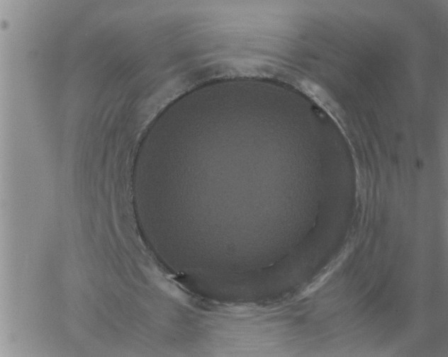 X0000066540481200603311849