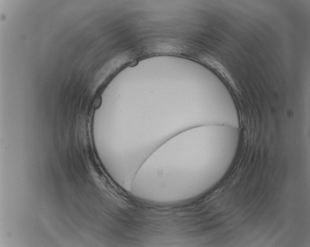 X0000066540482200603311849