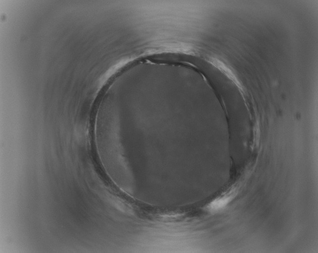 X0000066540483200603311849