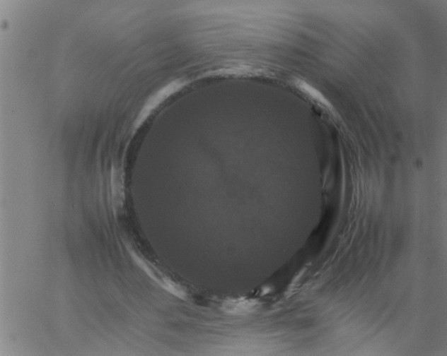 X0000066540484200603311849