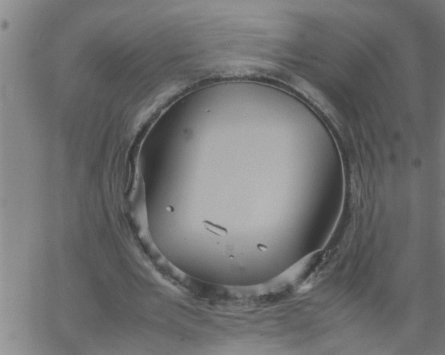 X0000066540485200603311849