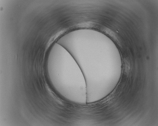 X0000066540486200603311849