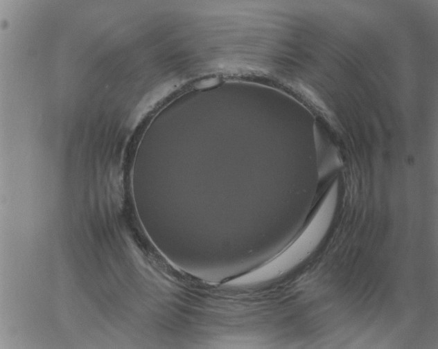 X0000066540488200603311849