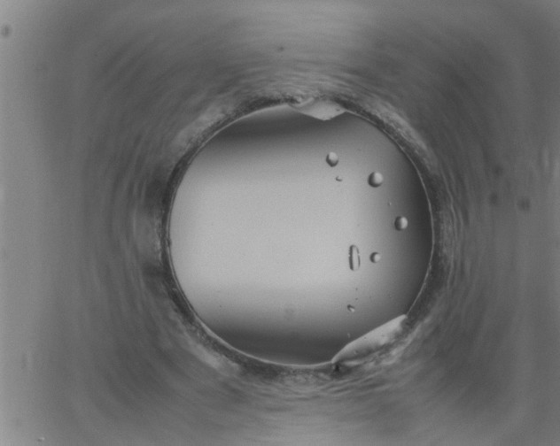 X0000066540489200603311849