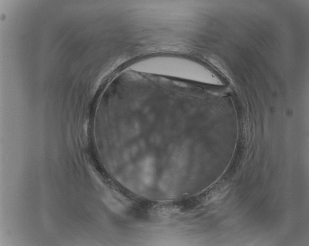 X0000066540491200603311848