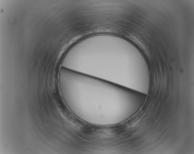 X0000066540492200603311848