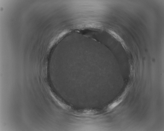 X0000066540493200603311848