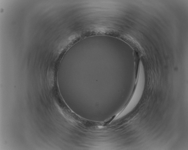 X0000066540496200603311848