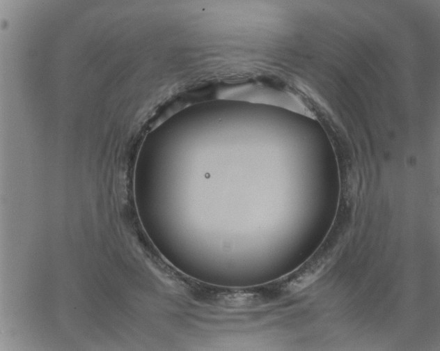 X0000066540497200603311848