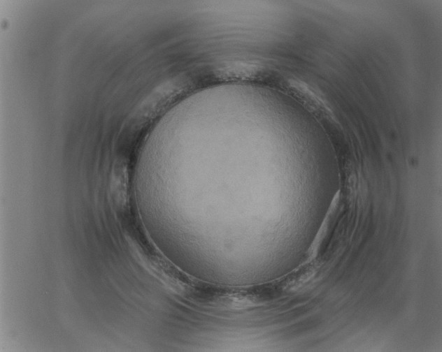 X0000066540498200603311848