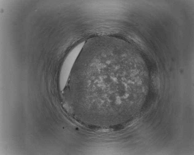 X0000066540499200603311848