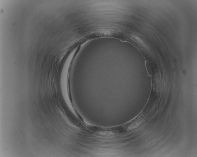 X0000066540500200603311848