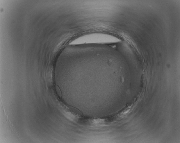 X0000066540501200603311848