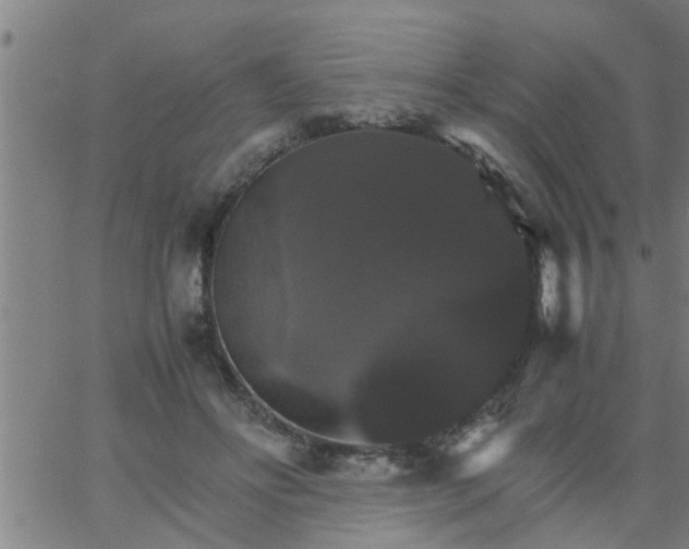 X0000066540502200603311848