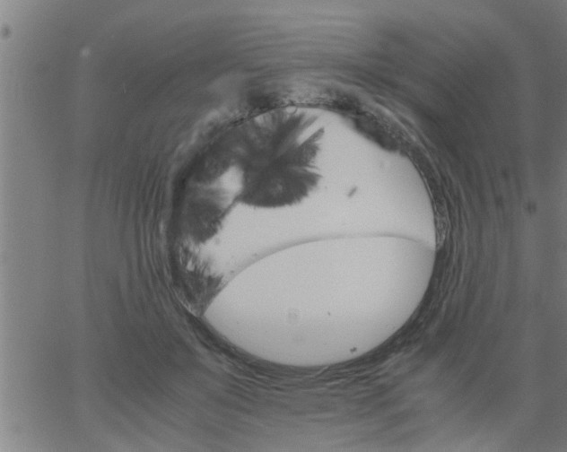 X0000066540503200603311848