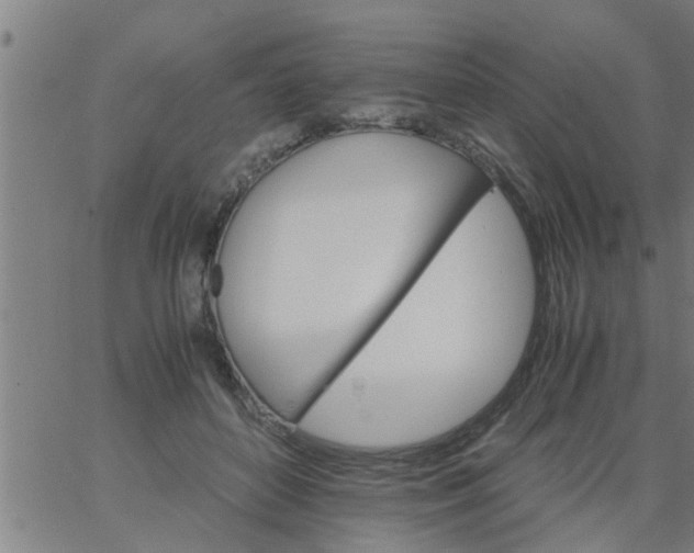 X0000066540504200603311848