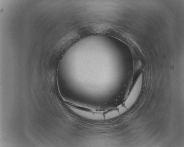 X0000066540505200603311848