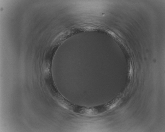 X0000066540507200603311848