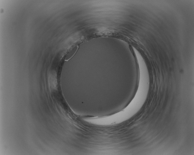 X0000066540508200603311848