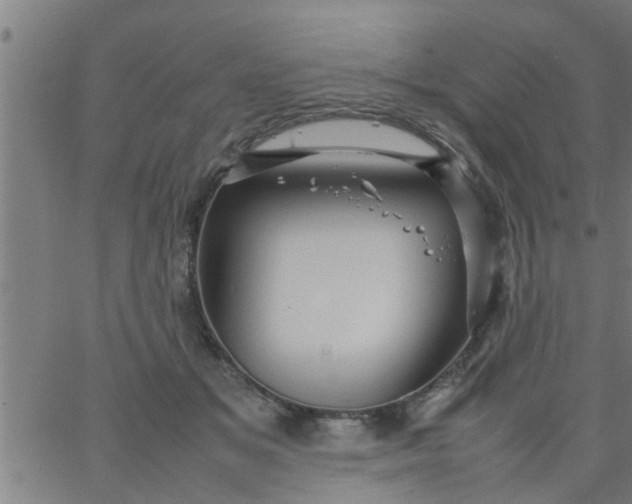 X0000066540509200603311848