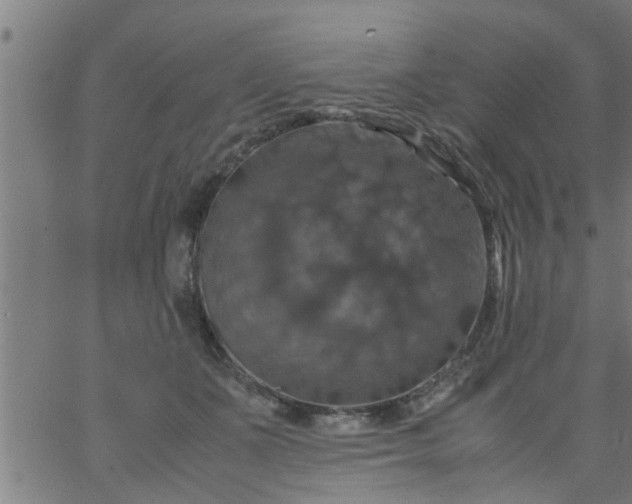 X0000066540511200603311848