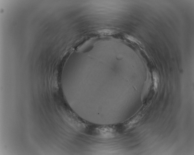 X0000066540512200603311848