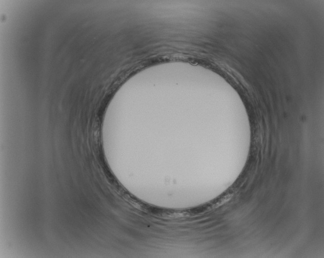 X0000066540513200603311848