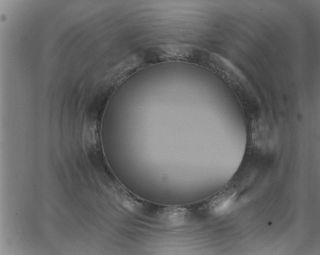 X0000066540514200603311848