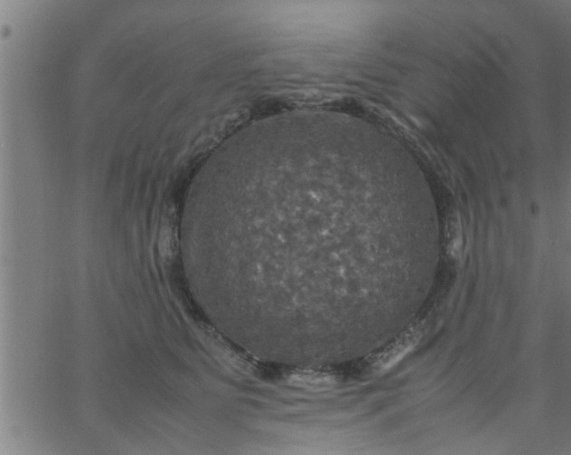 X0000066540515200603311848