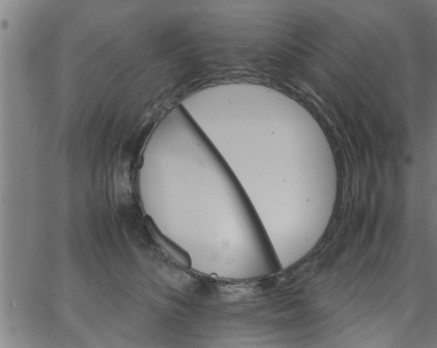 X0000066540516200603311848