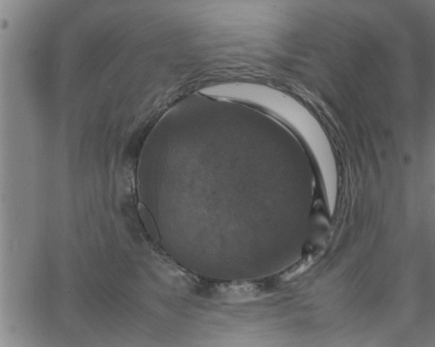 X0000066540517200603311848