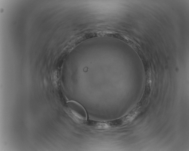 X0000066540519200603311848