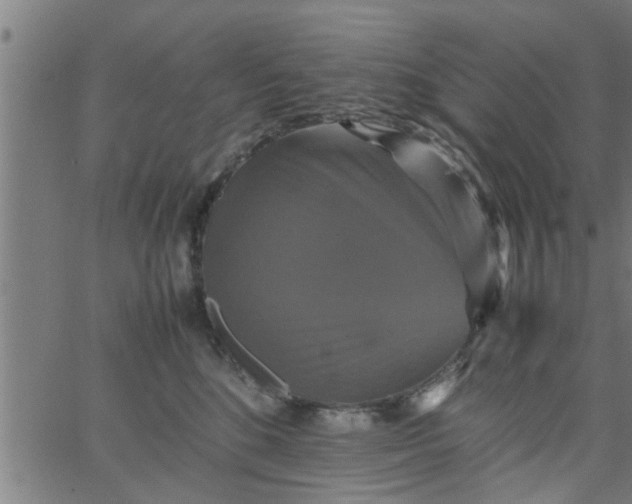 X0000066540520200603311848