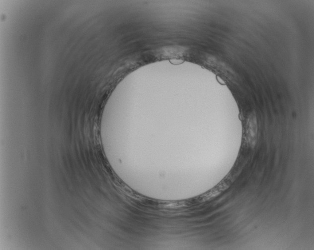 X0000066540522200603311848